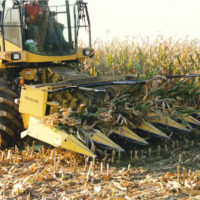 crop insurance - forage harvestor crop insurance