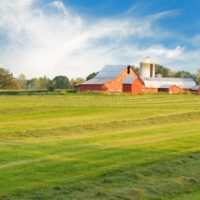 blanket policy - dairy farm