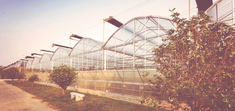 Greenhouse Nursery Insurance