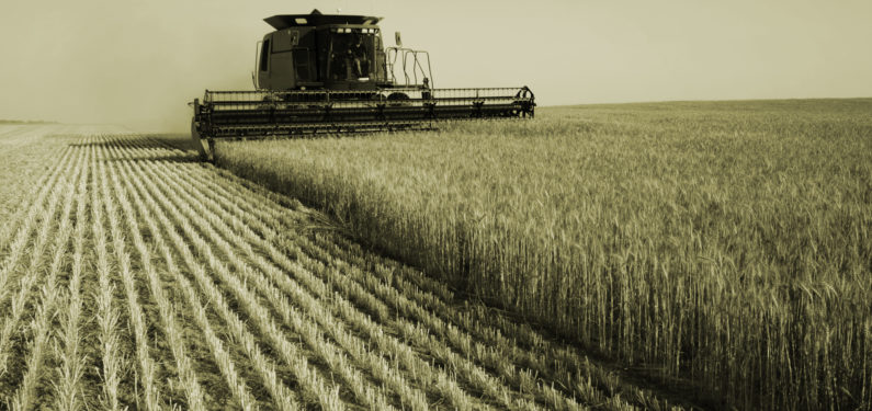 crop insurance coverage